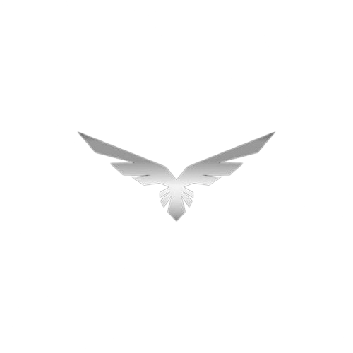 RawIntel Logo
